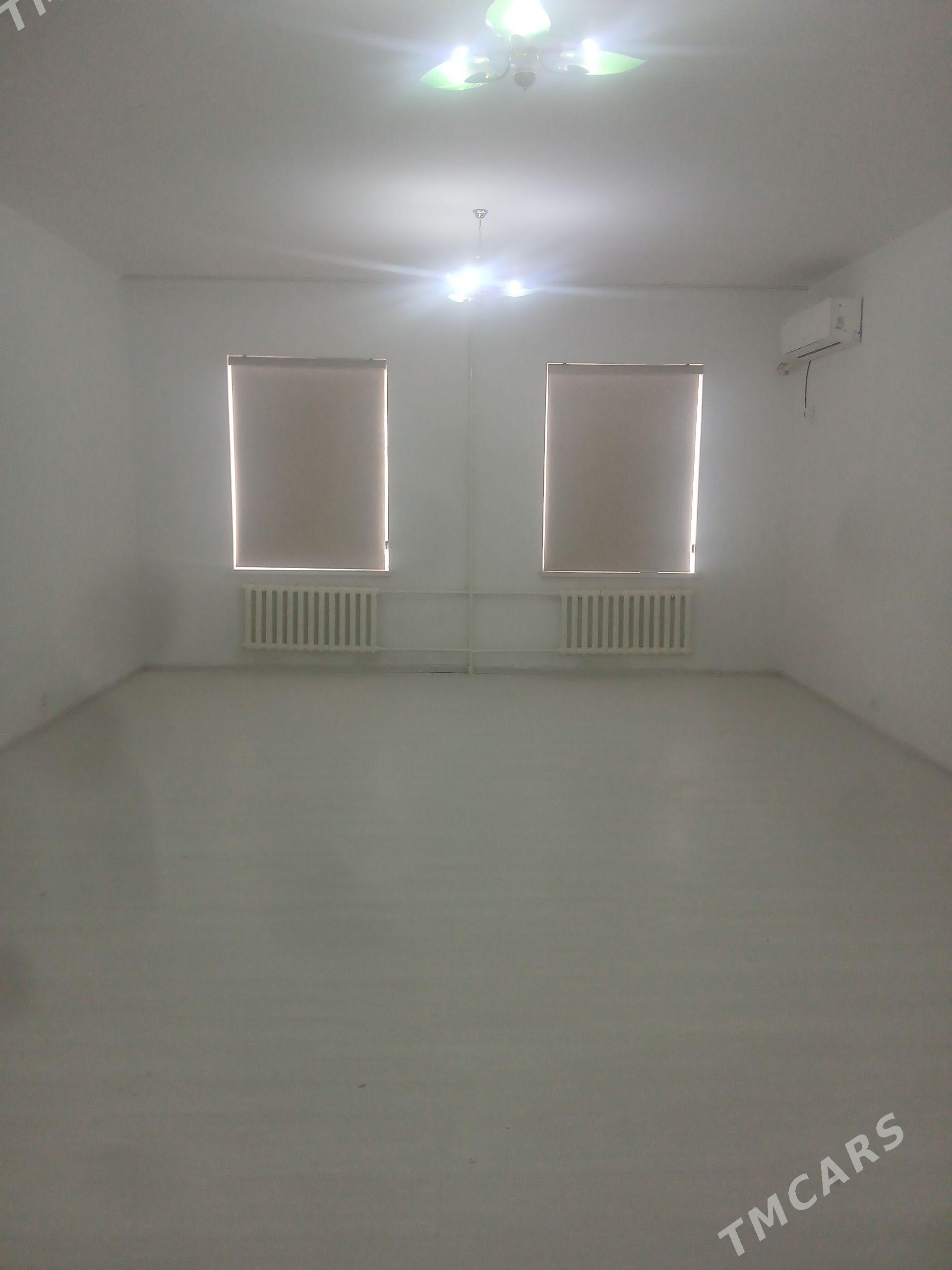 Tayar elitga. 1 nji Padez. - Daşoguz - img 1