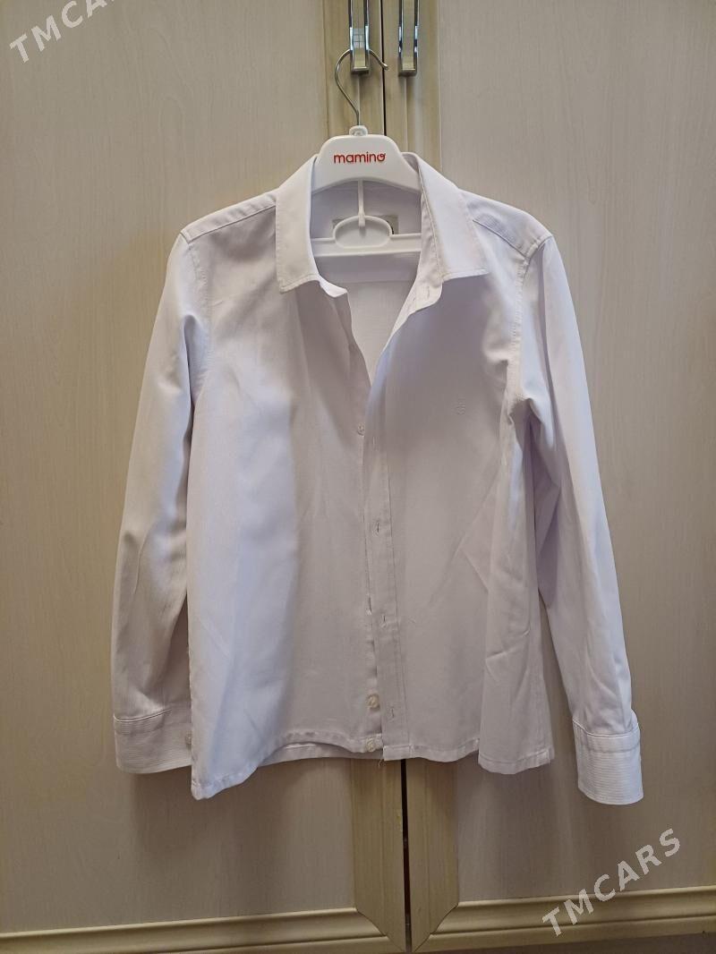 okuw balak köÿnek - Ашхабад - img 1