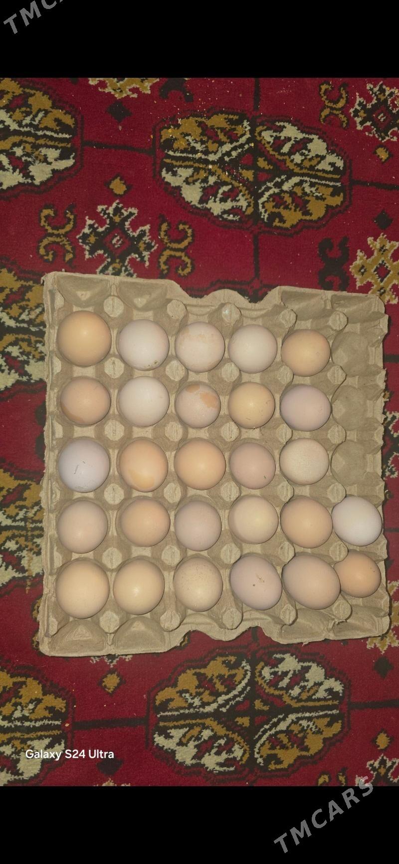 yumurtga. juje brama - Ялкым - img 1