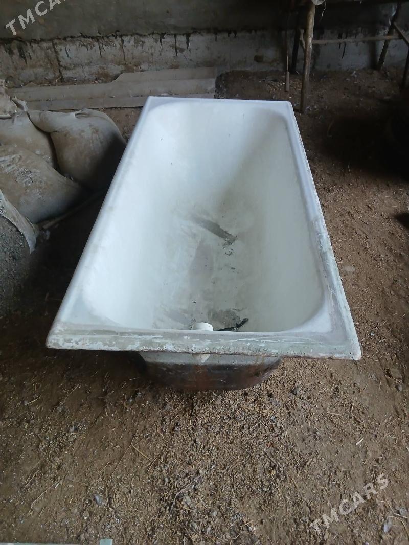 Wanna - Mary - img 1