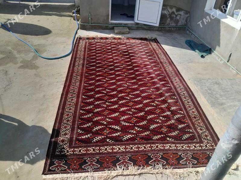 gara haly - Туркменбаши - img 1