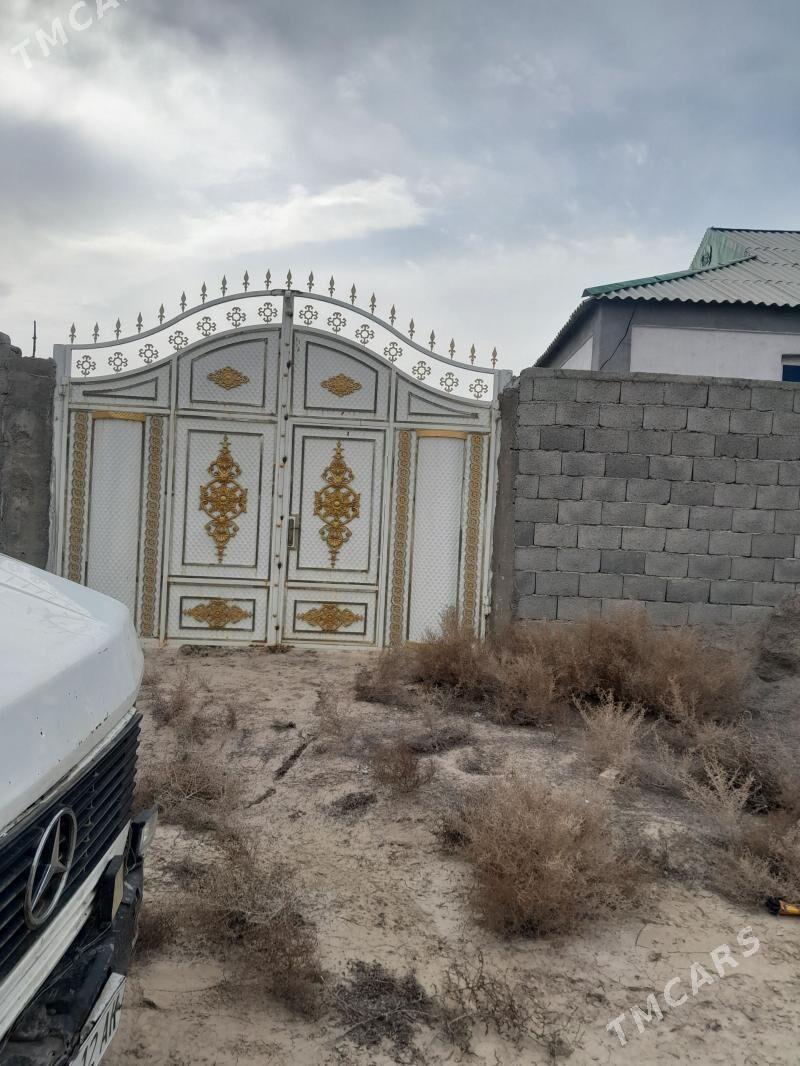 satlyk jaÿ - Kaka - img 1