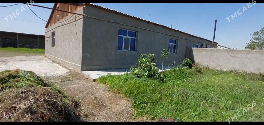 Satlyk jaý - Gökdepe - img 1