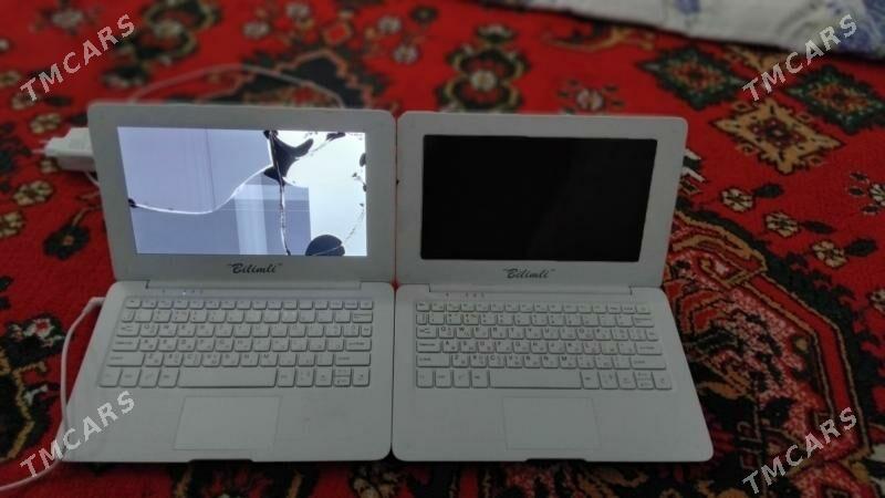 bilimli kompyuter - Mary - img 1