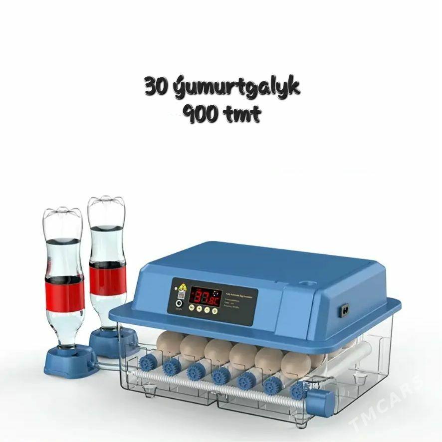 enkewatorlar - Ашхабад - img 1