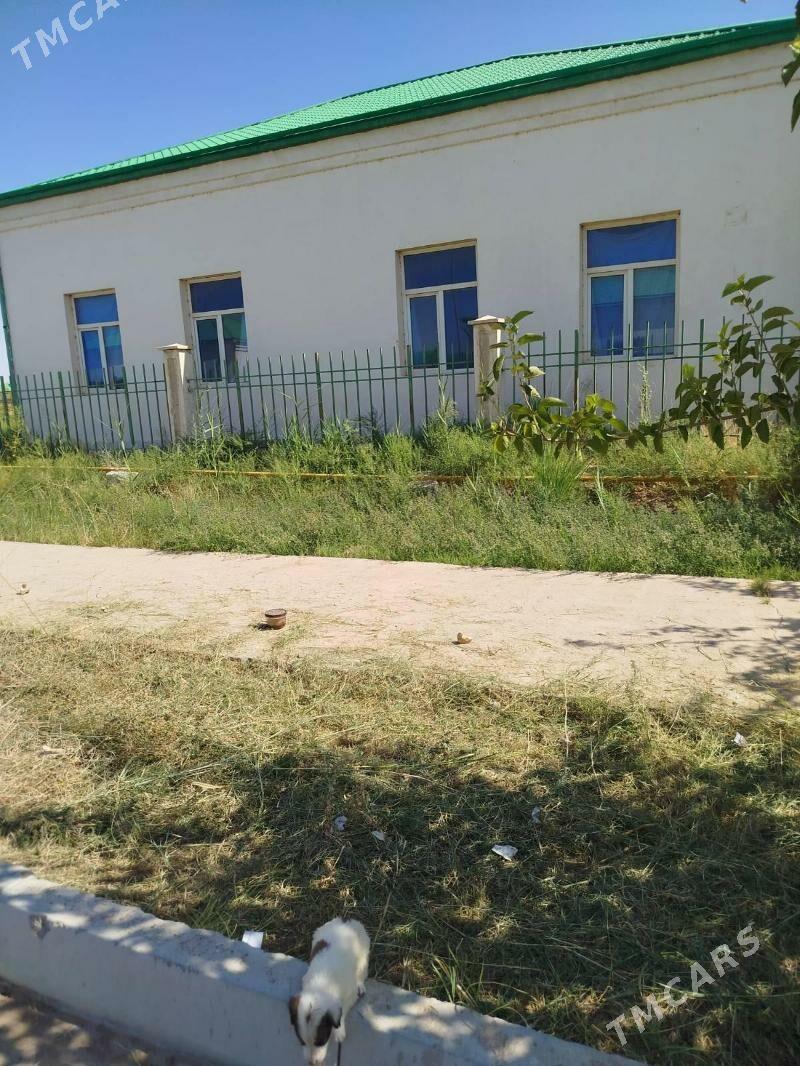 Satlyk jaý - Oguz han - img 1