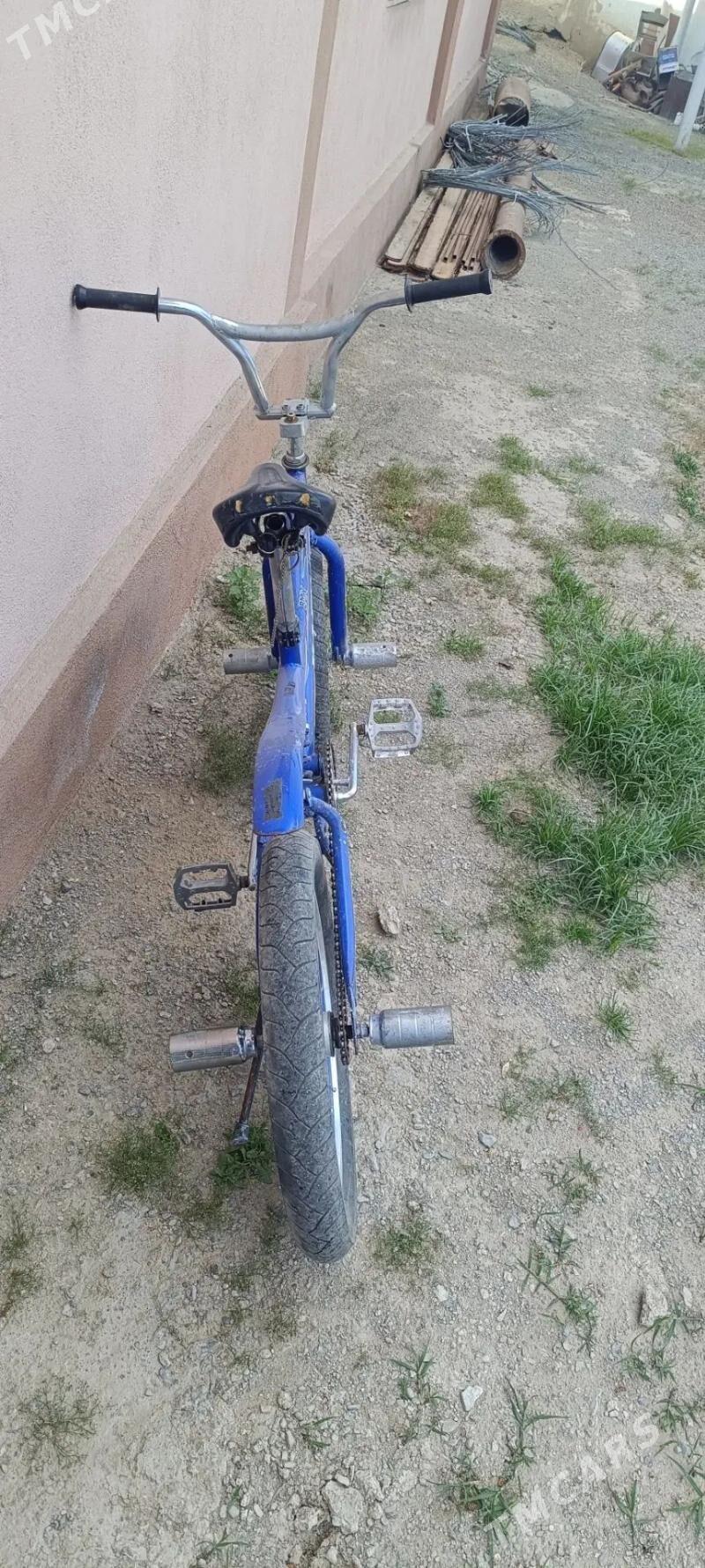 Tigir - Bäherden - img 1