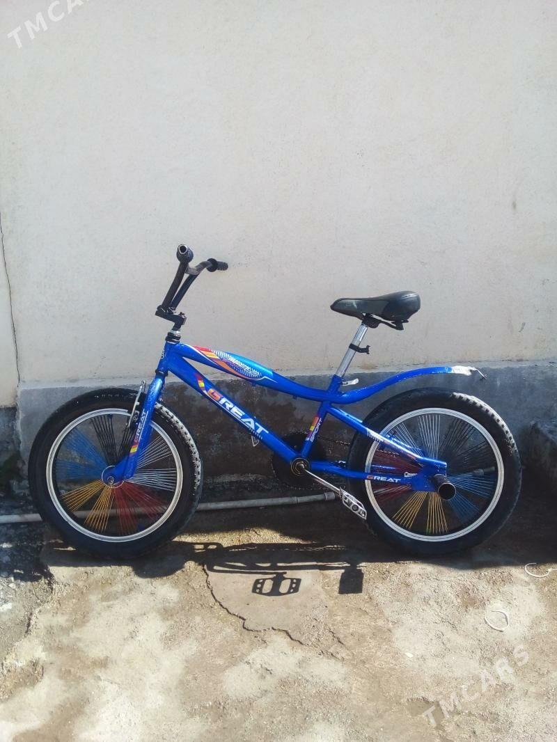 tigir - Bagyr - img 1