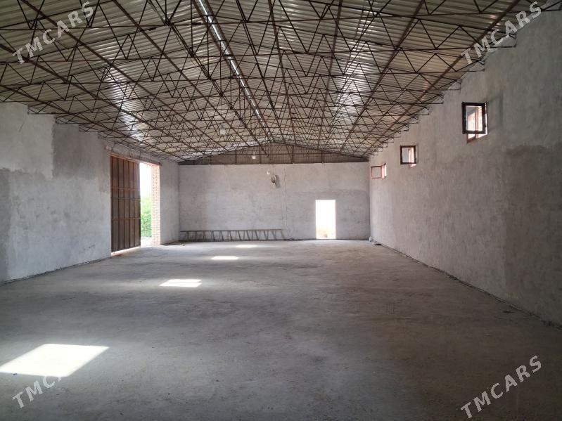 Sklat - Туркменабат - img 1