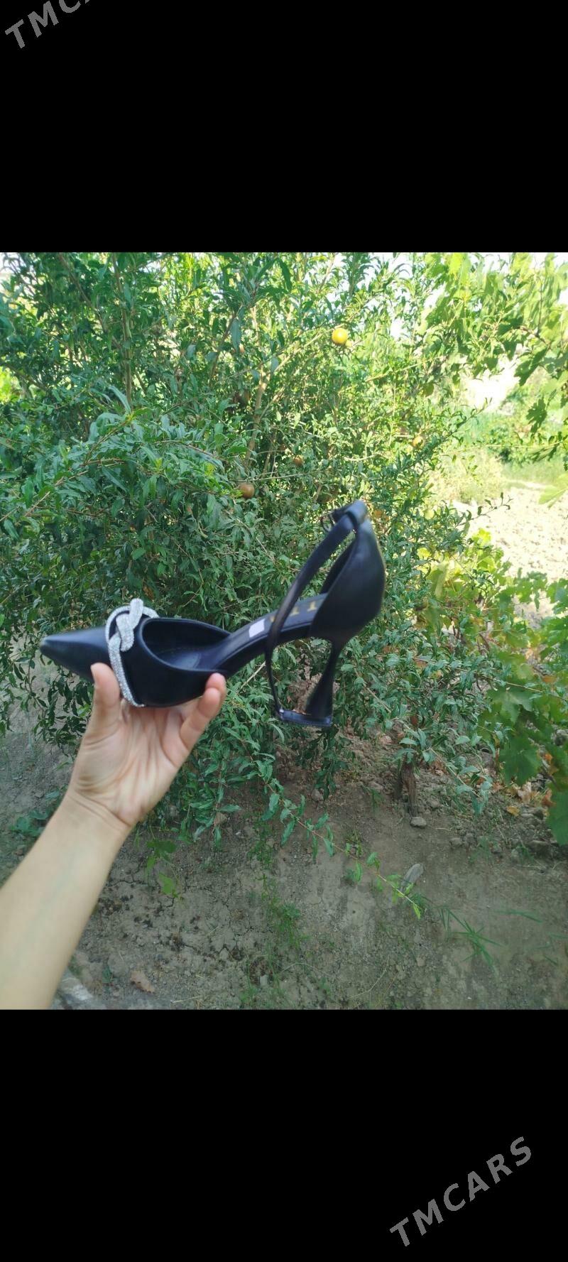 bosanožka, okjeli - Köýtendag - img 1