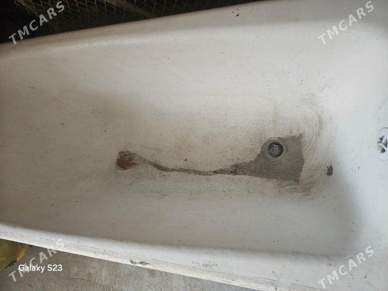 coyun wanna - Mary - img 1