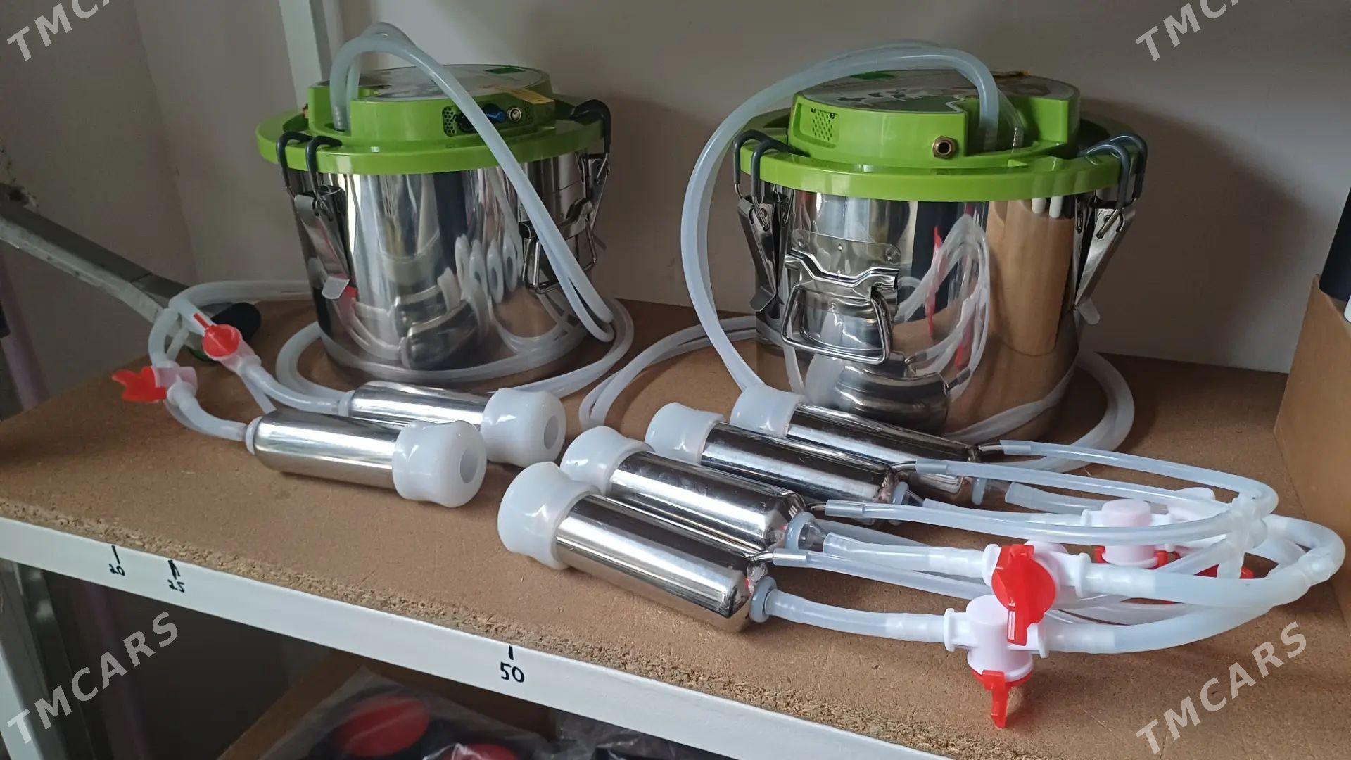 sygyr sagyan enjamy - Türkmenabat - img 1