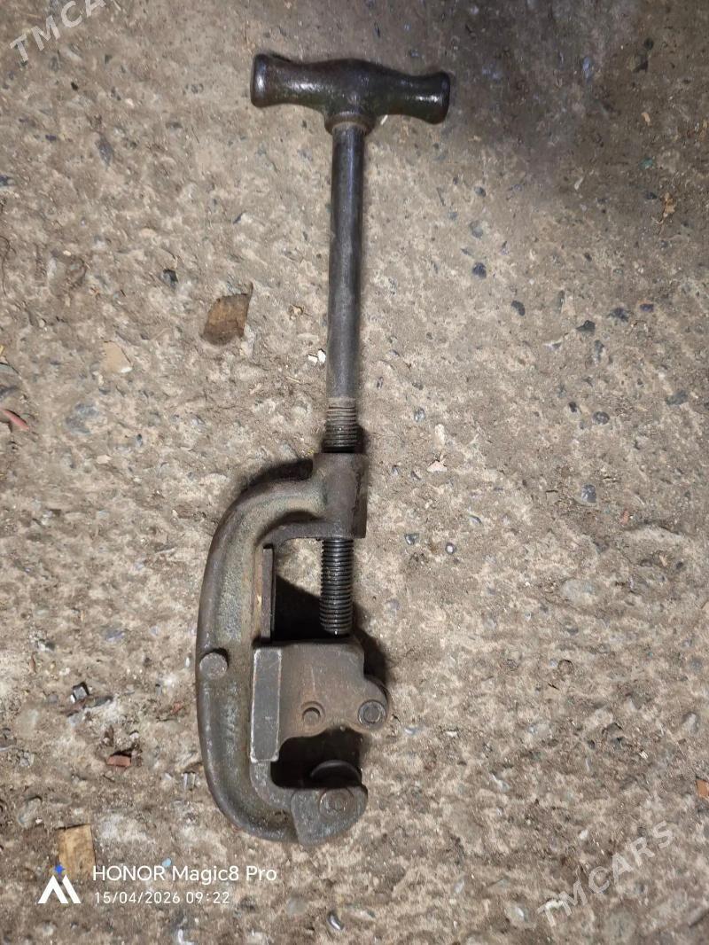 Turbo kesyan, trubores - Mary - img 1