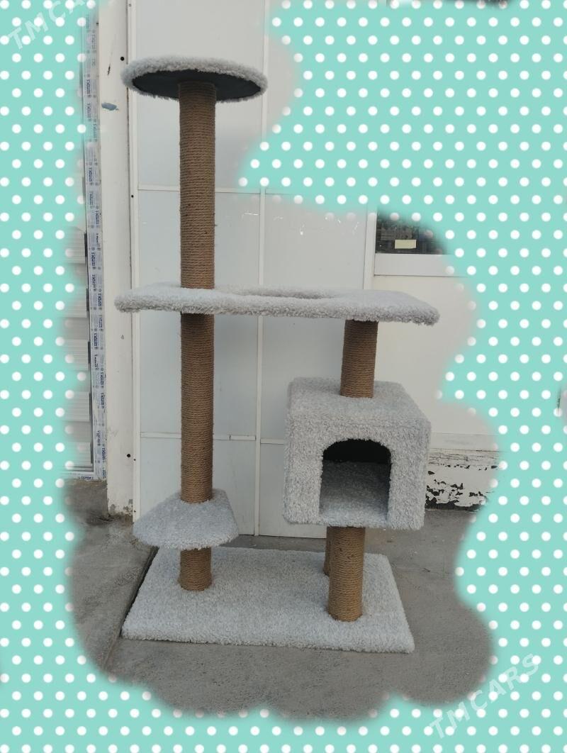 pisik un - Çoganly - img 1