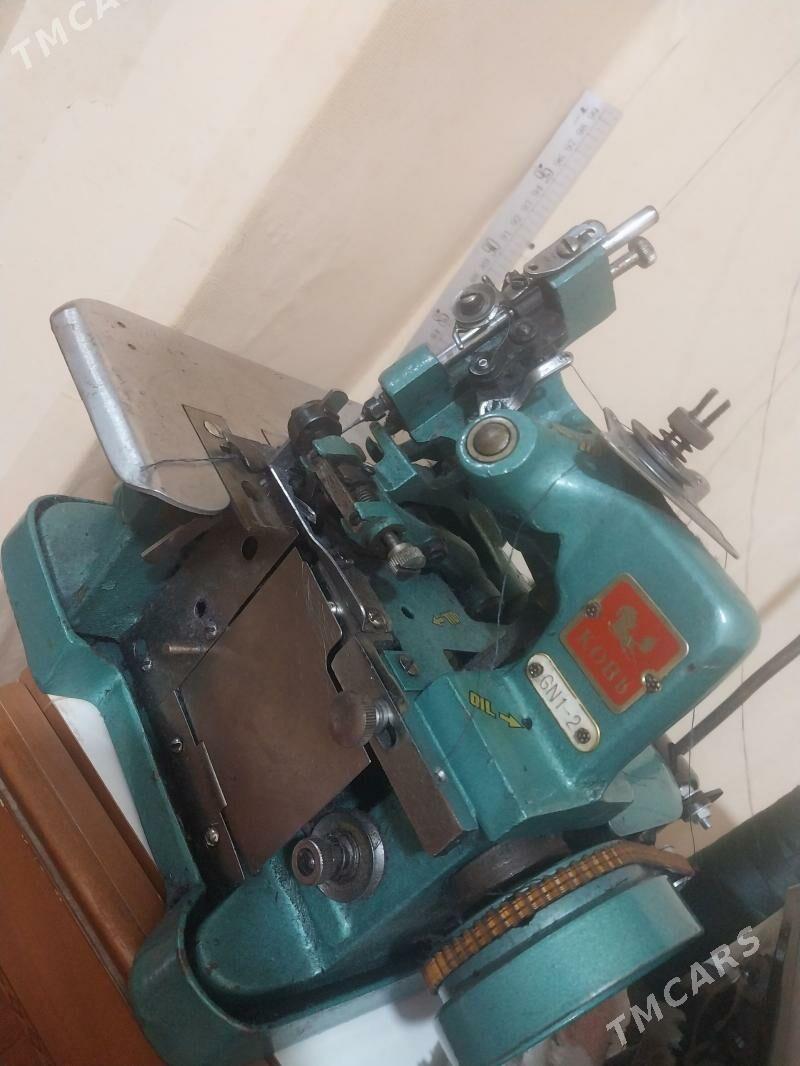 Koný awerlok - Туркменбаши - img 1