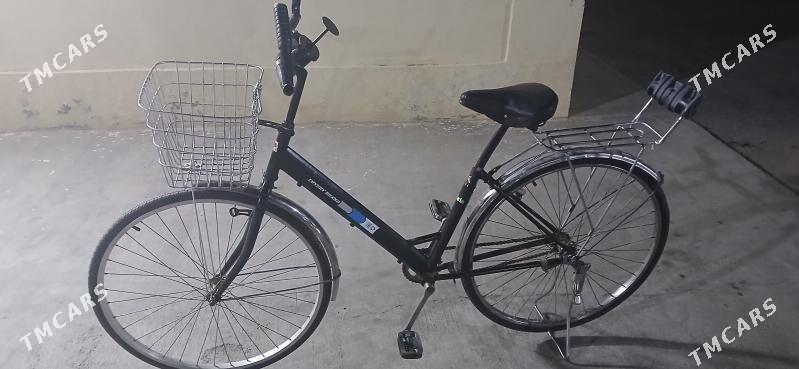 TİGİR YAPOSKA - Büzmeýin GRES - img 1