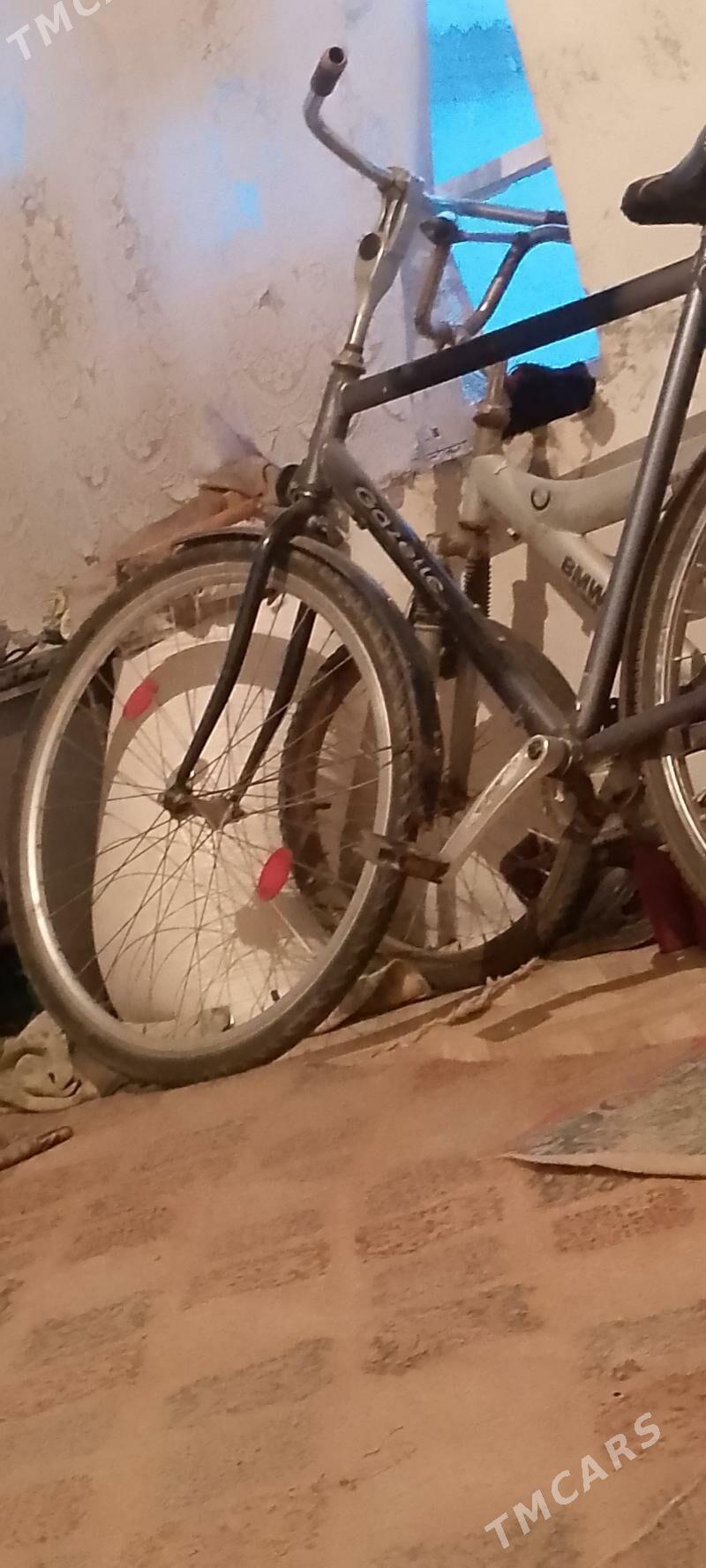 tigir - Гёкдепе - img 1