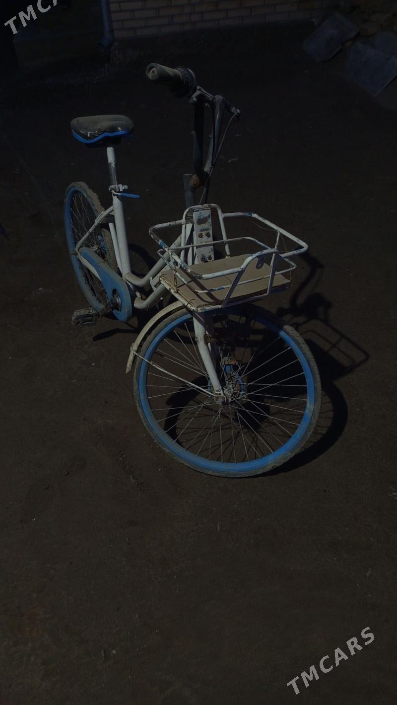 welik 24 - Mary - img 1