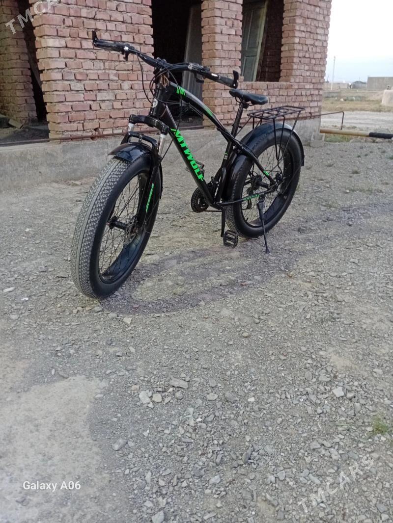 mator tigir - Bäherden - img 1