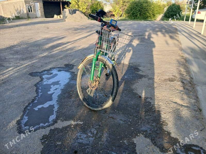 Tiger - Gökdepe - img 1