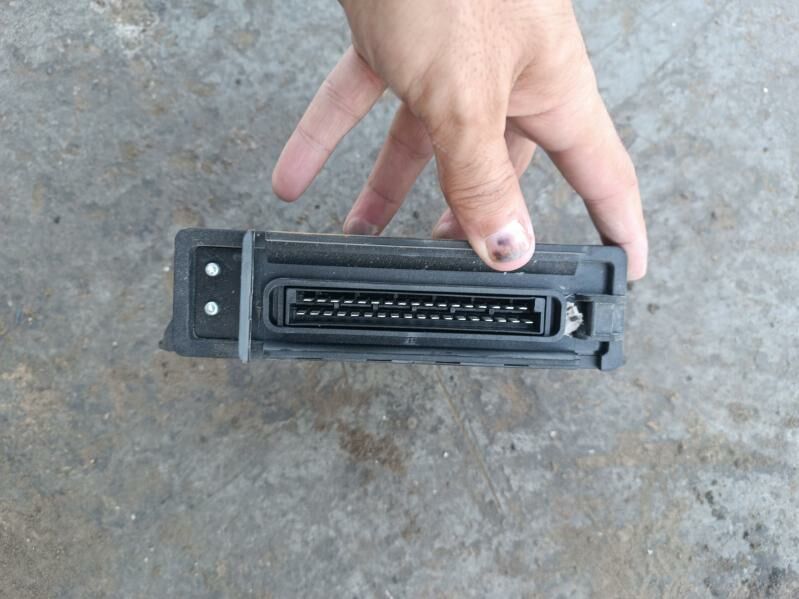 ligon pagrusik 3 500 TMT - Гуртли - img 1