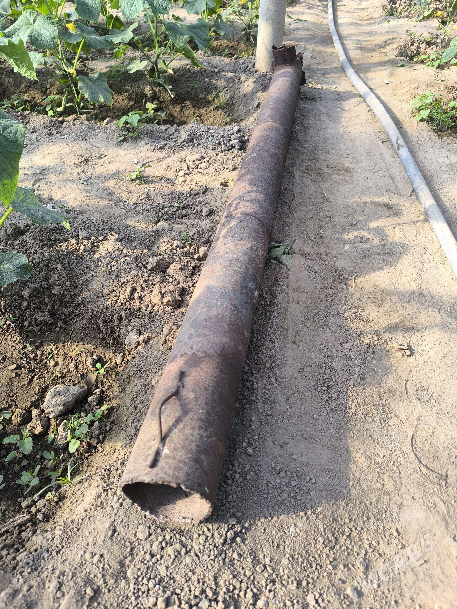 peç - Büzmeýin - img 1