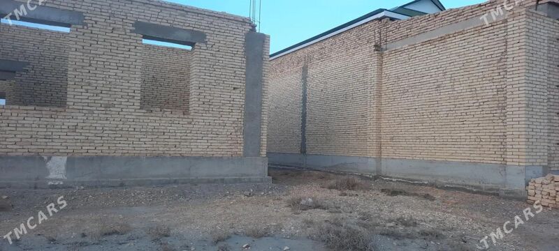 Меллек - Туркменабат - img 1