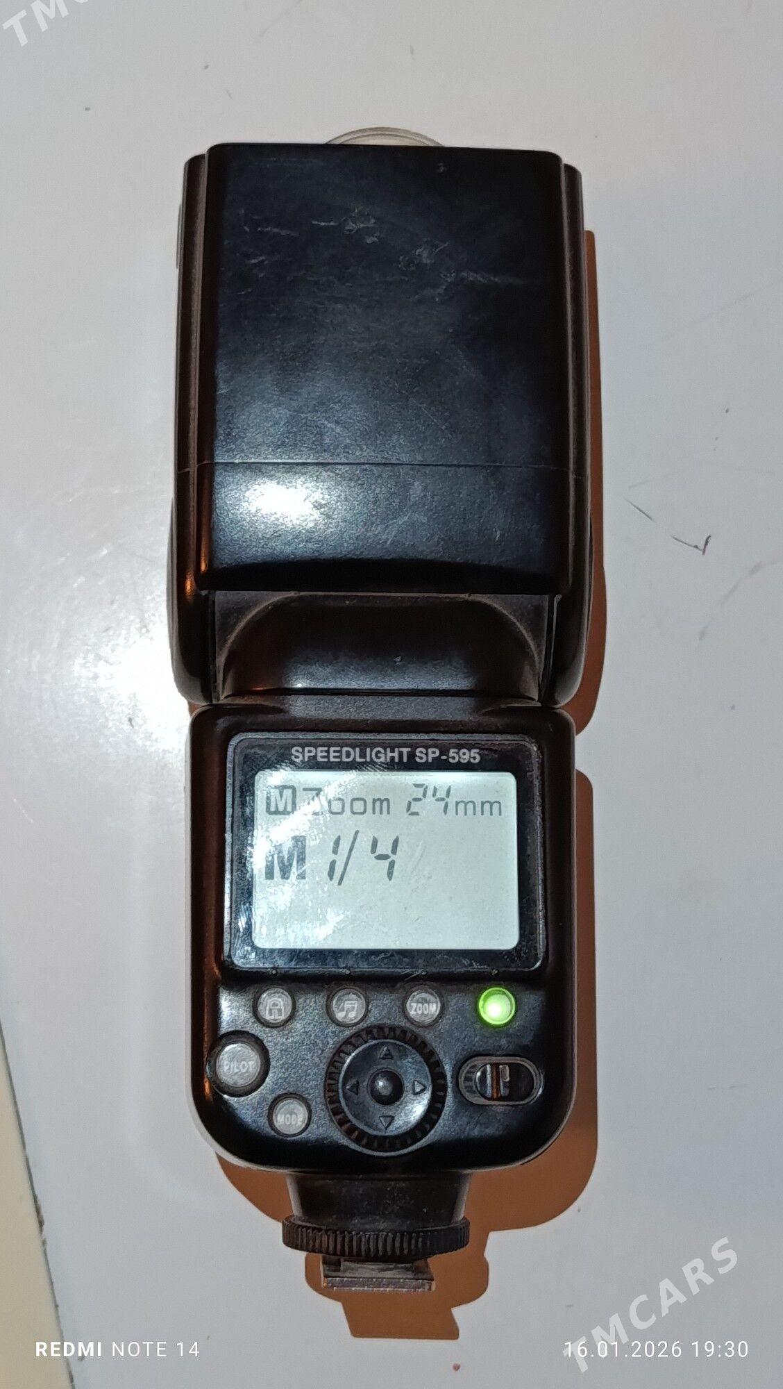 Sp 595 - Sakarçäge - img 1