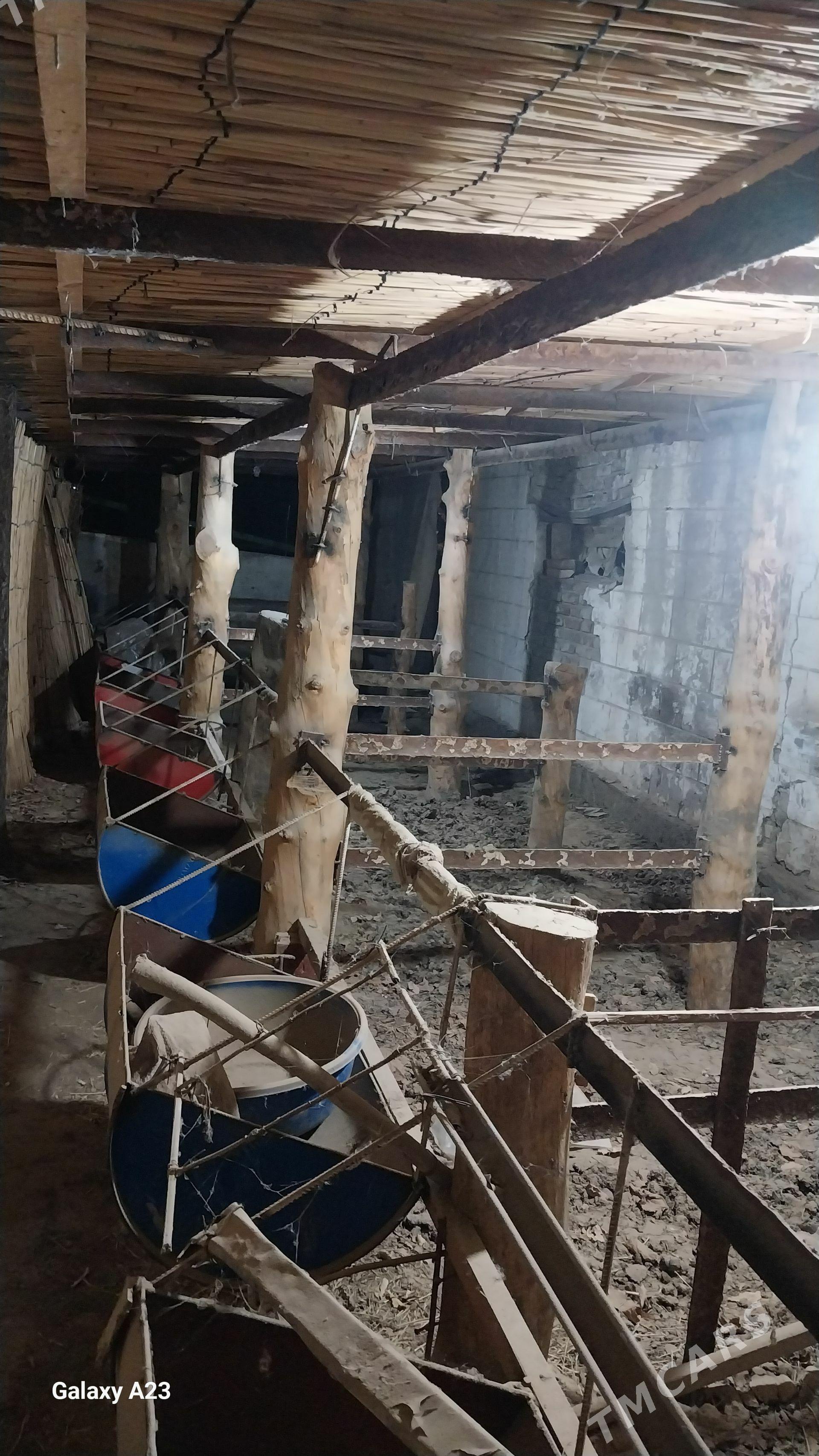 yatak - Türkmengala - img 1