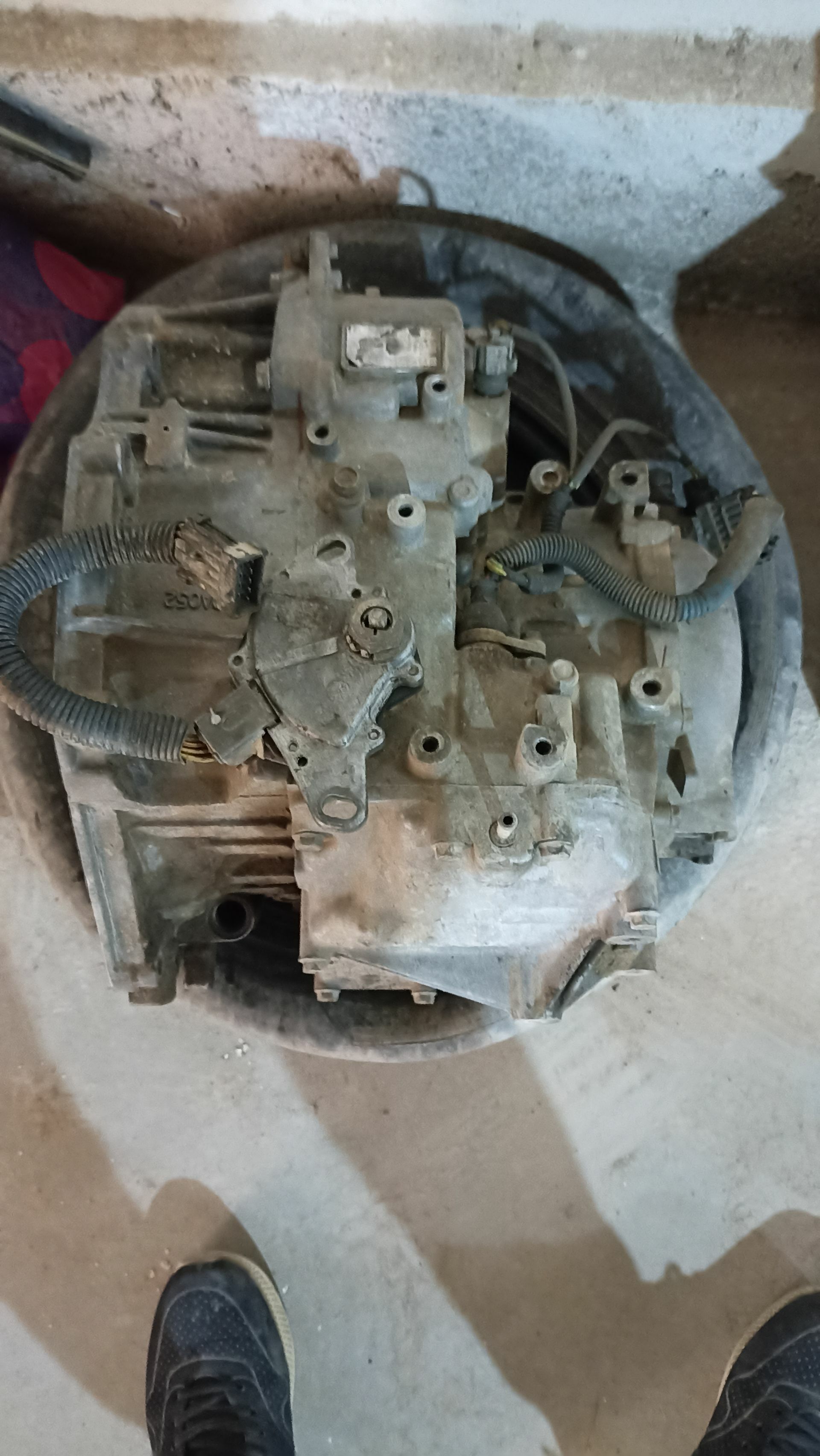 vita karopka 1 200 TMT - Daşoguz - img 1