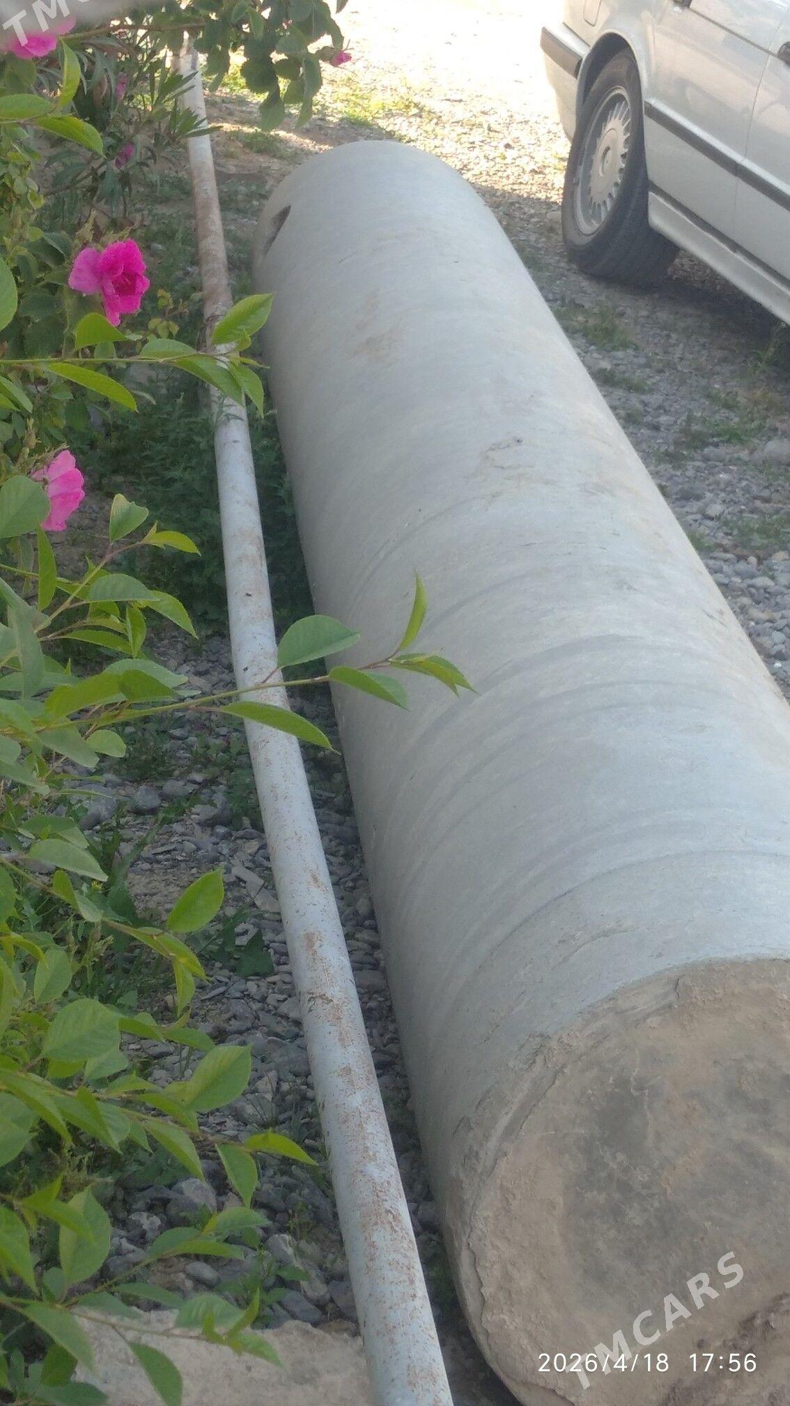 Azwis turba - Gökdepe - img 1