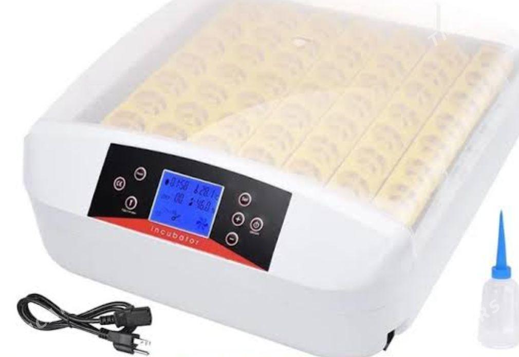 inkewator - Халач - img 1