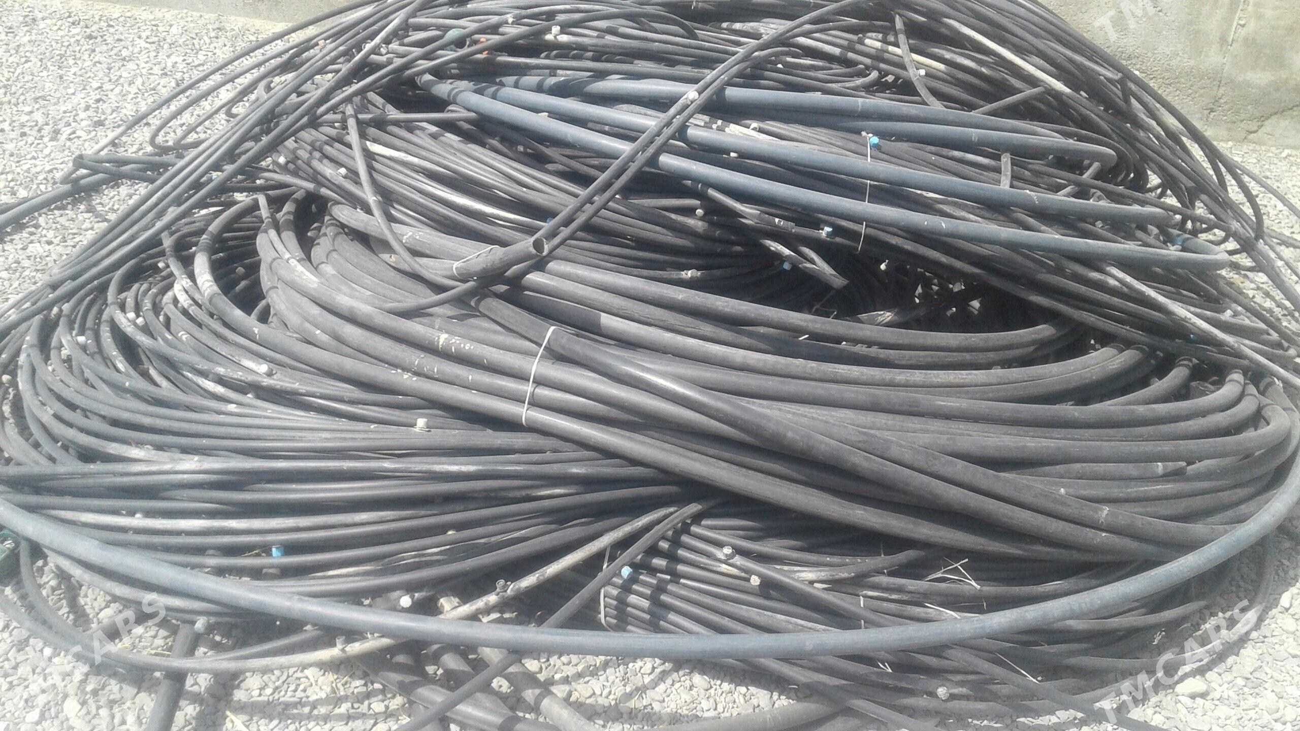 damja işlanka - Bäherden - img 1