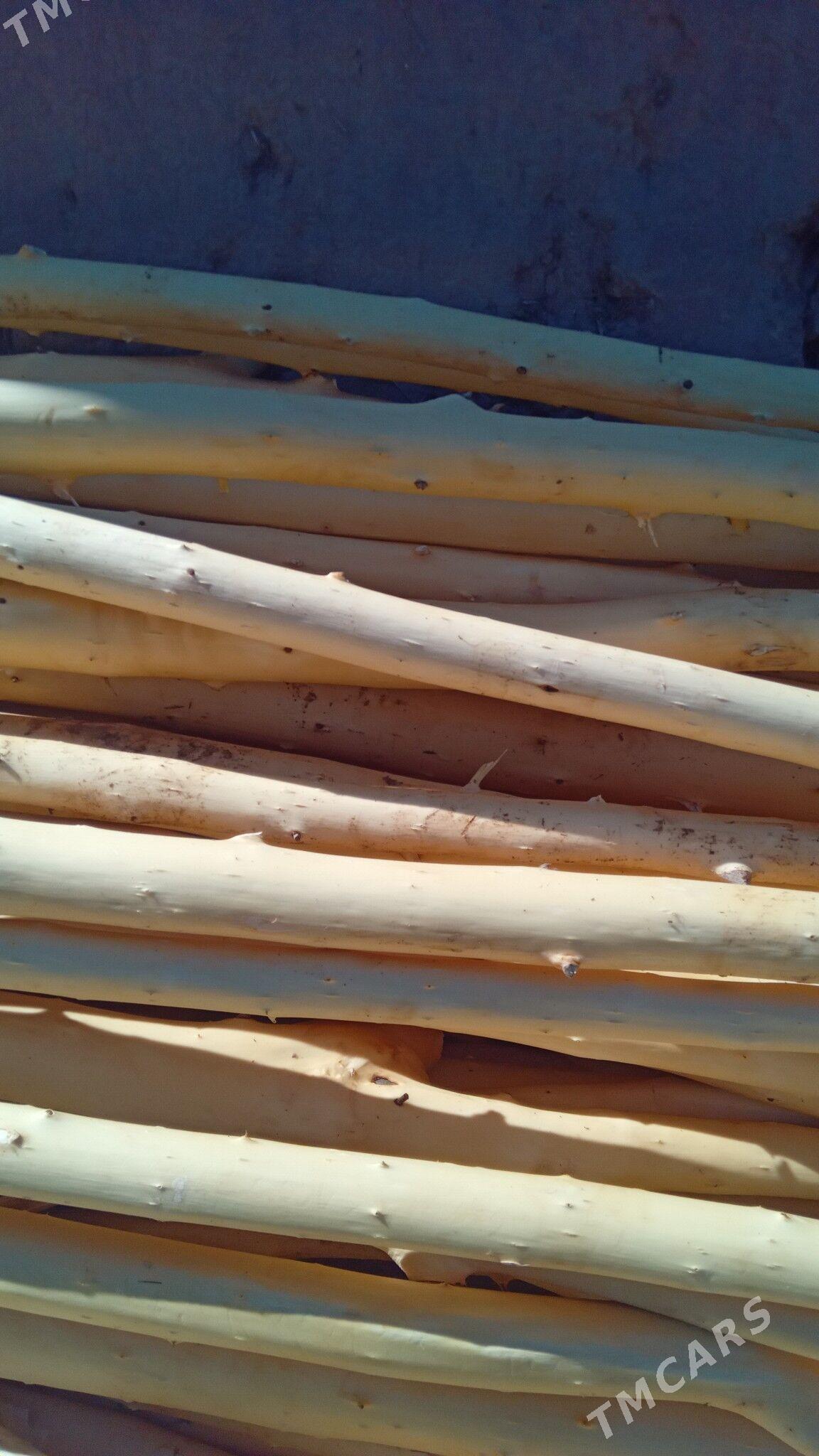 хада - Гороглы (Тагта) - img 1