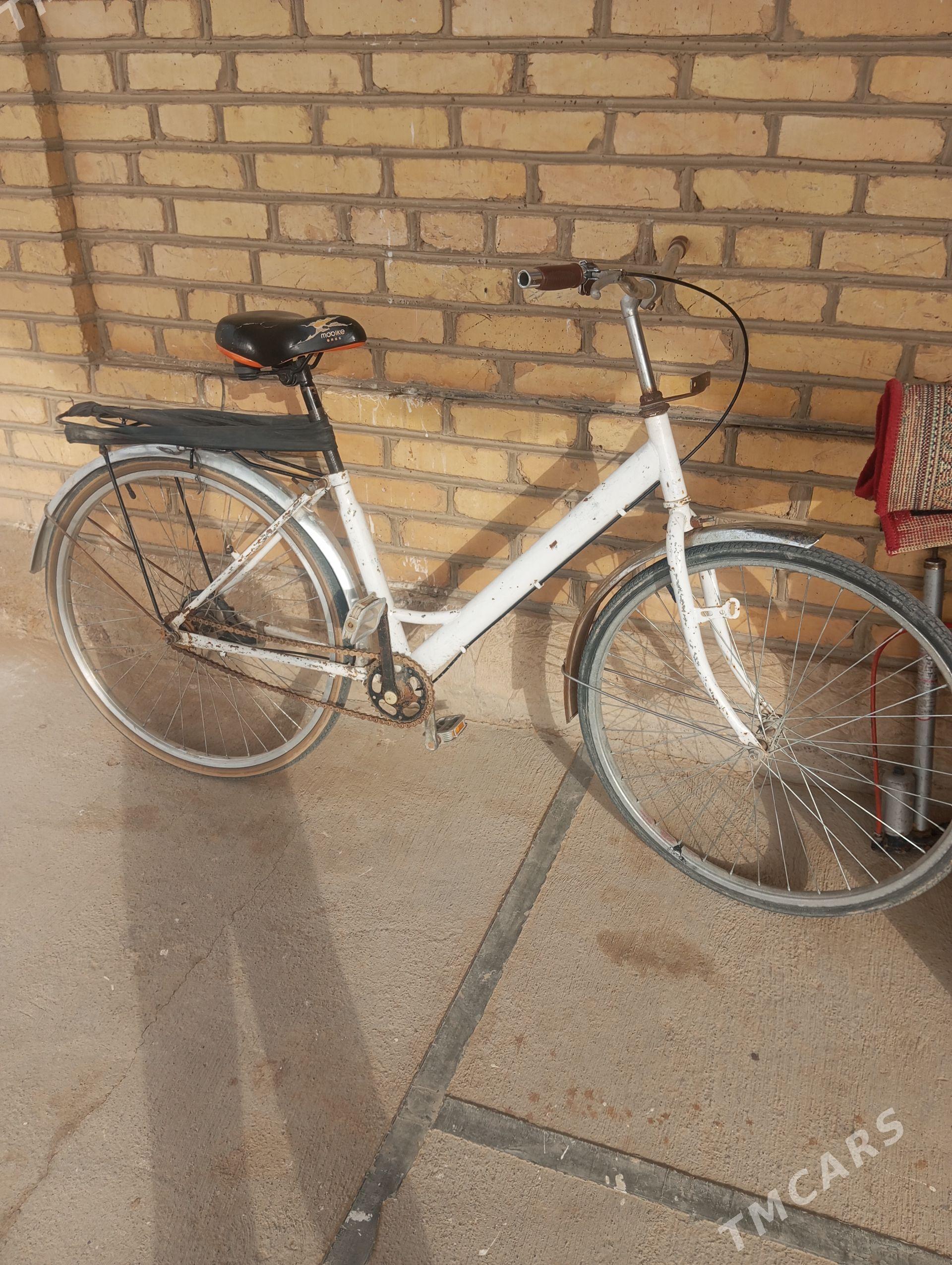 welseped - Мары - img 1