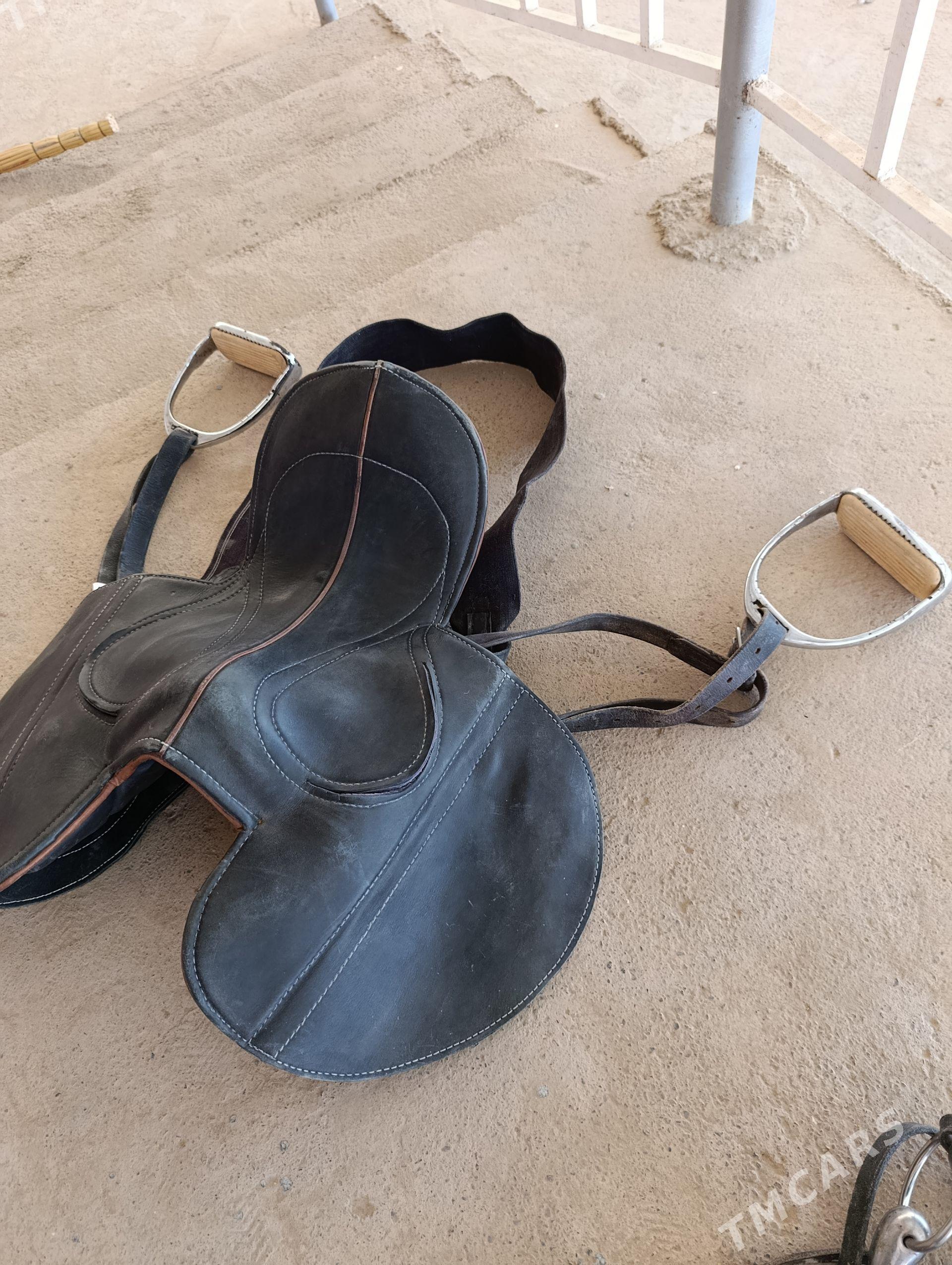 Atyň Eýeri ve Jylawy - Baýramaly - img 1