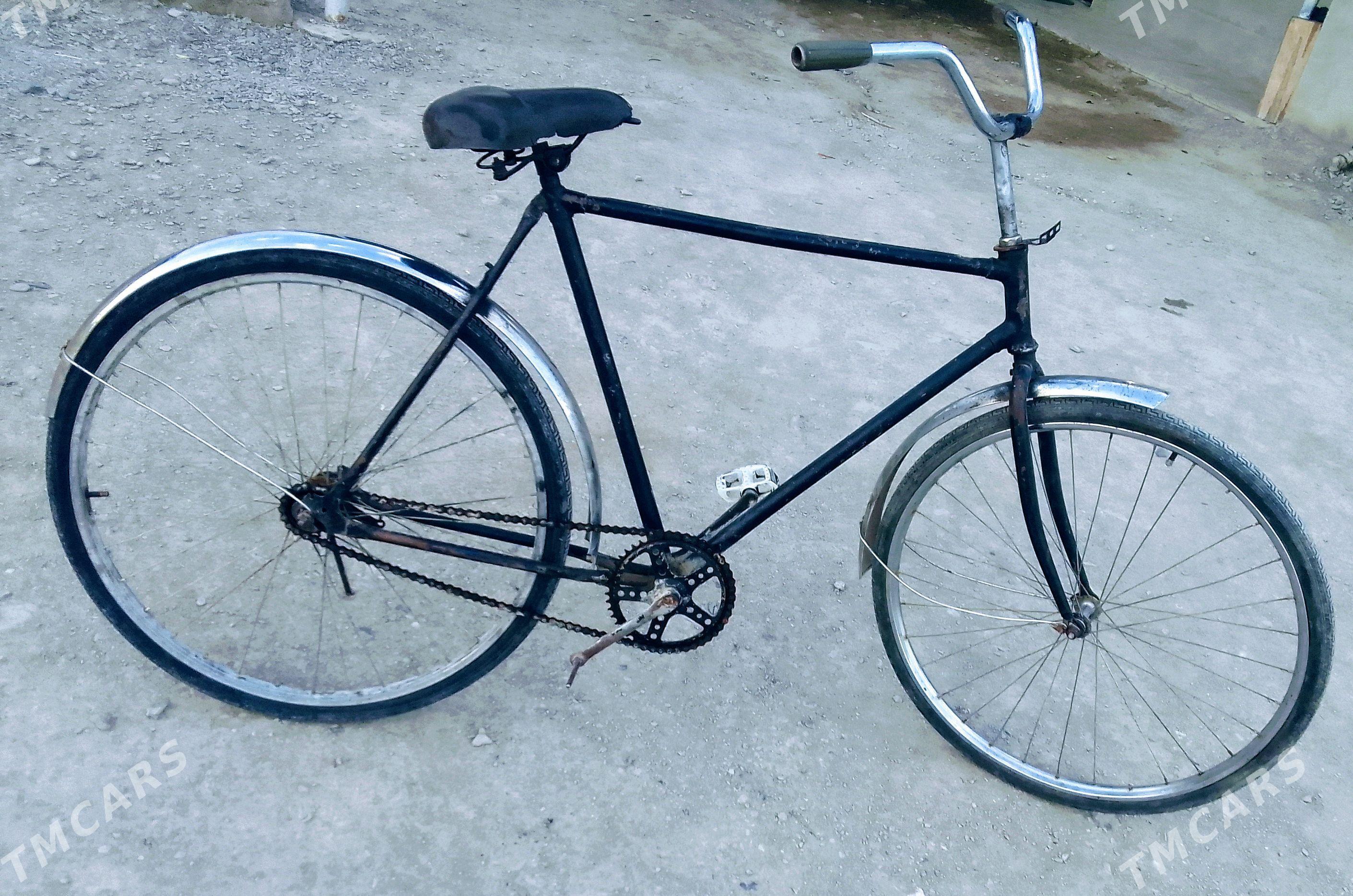 tigir - Bäherden - img 1