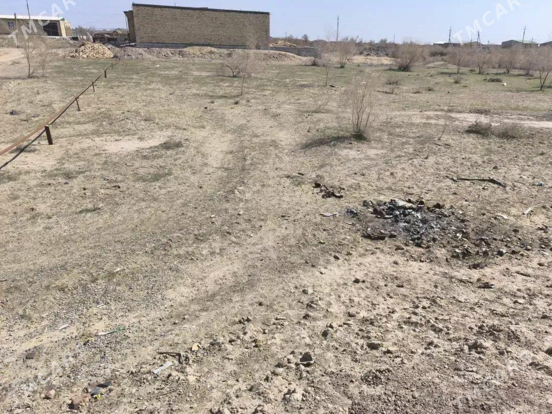 Boş mellek - Çärjew - img 1