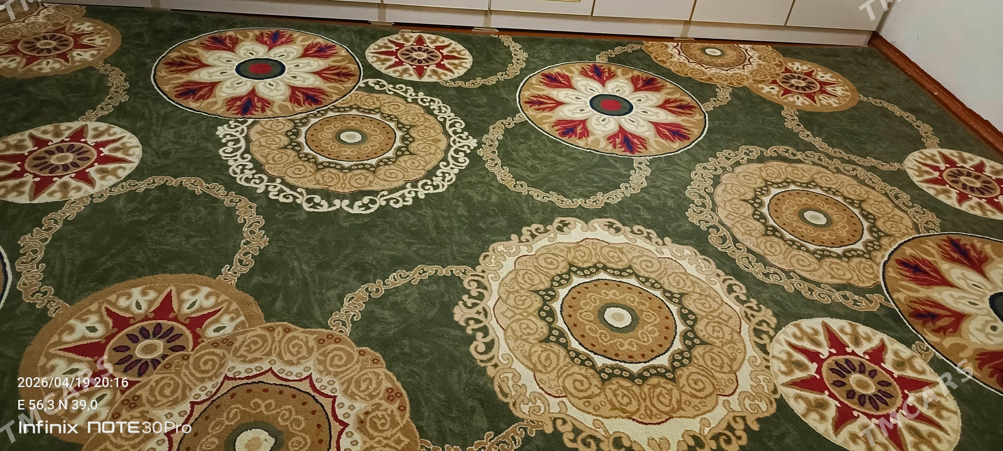 Haly - Гызыларбат - img 1