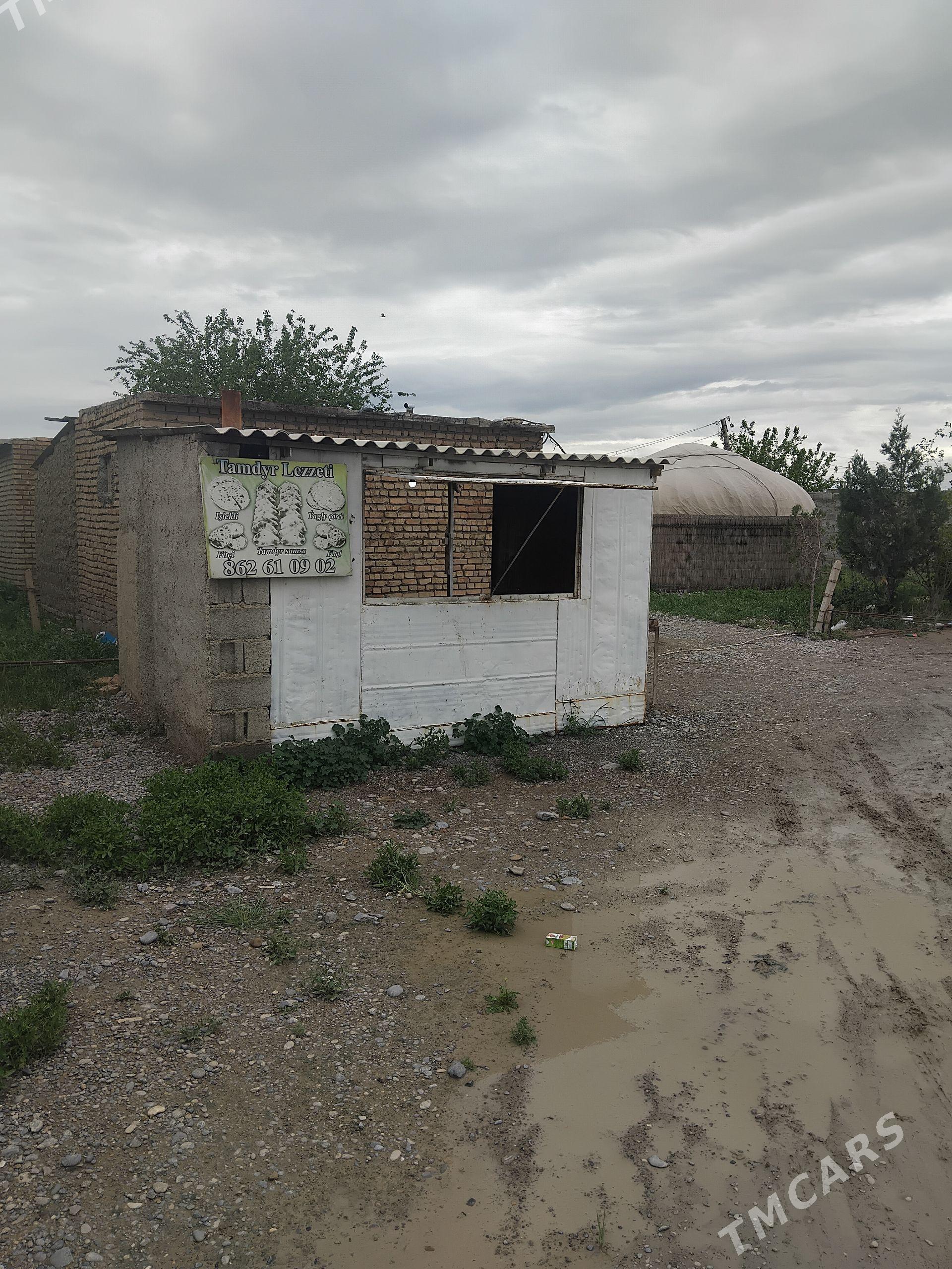 Satlyk jaÿ - Kaka - img 1