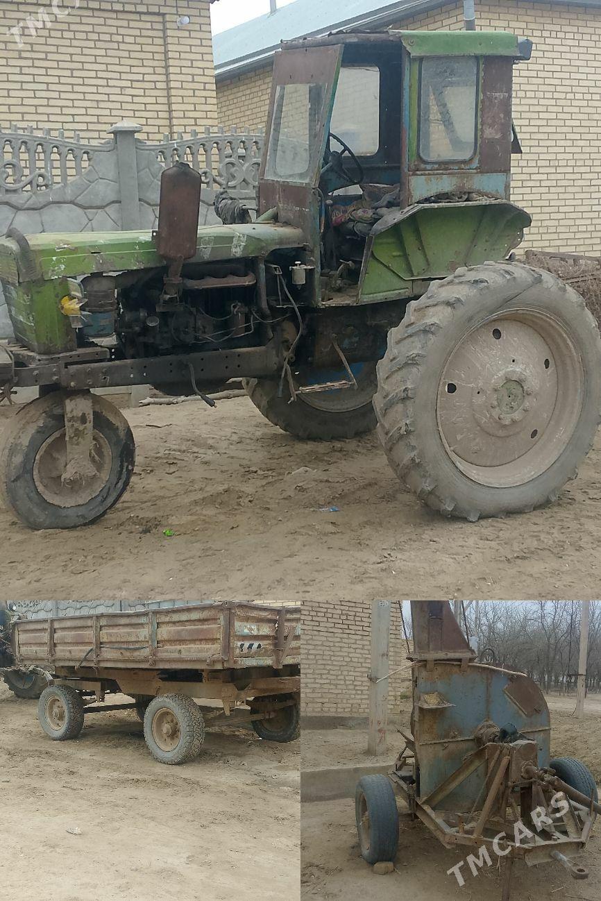 MTZ T-28 1995 - 32 000 TMT - Sakarçäge - img 1