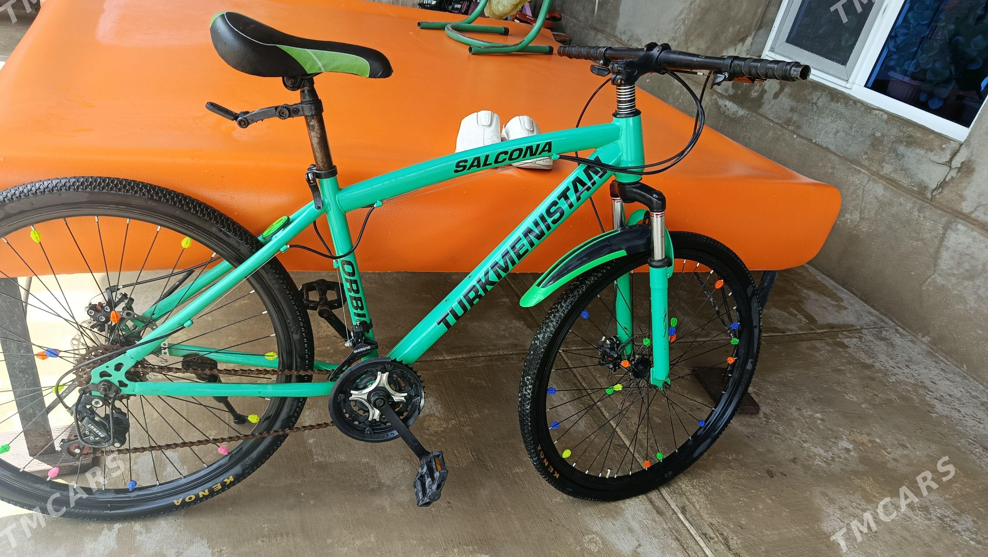 turkmenisan tigir - Büzmeýin - img 1