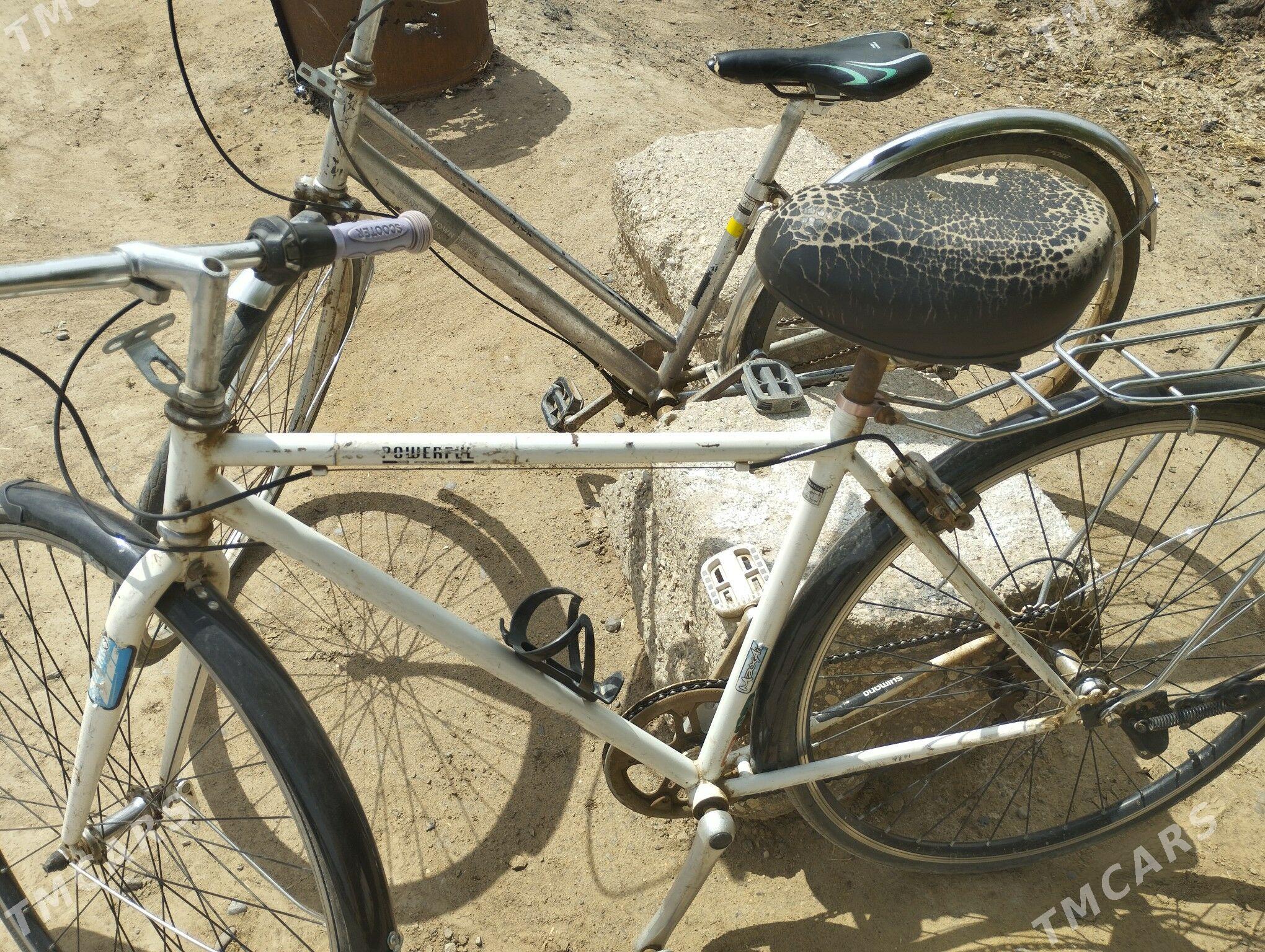 26&3skor welik,28&6skor - Mary - img 1