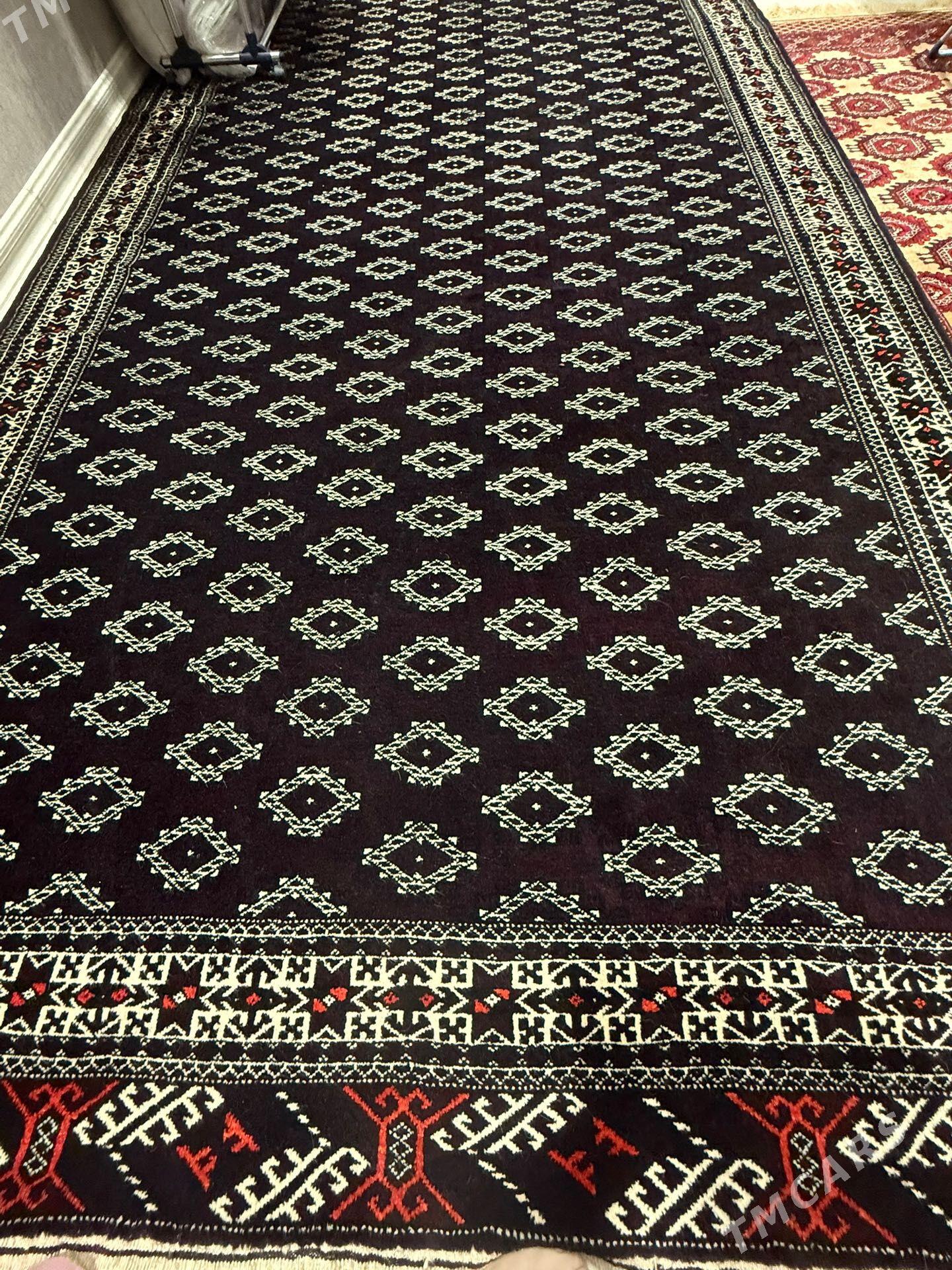 el haly - Балканабат - img 1