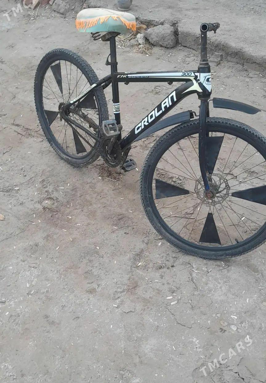 welisoped - Болдумсаз - img 1