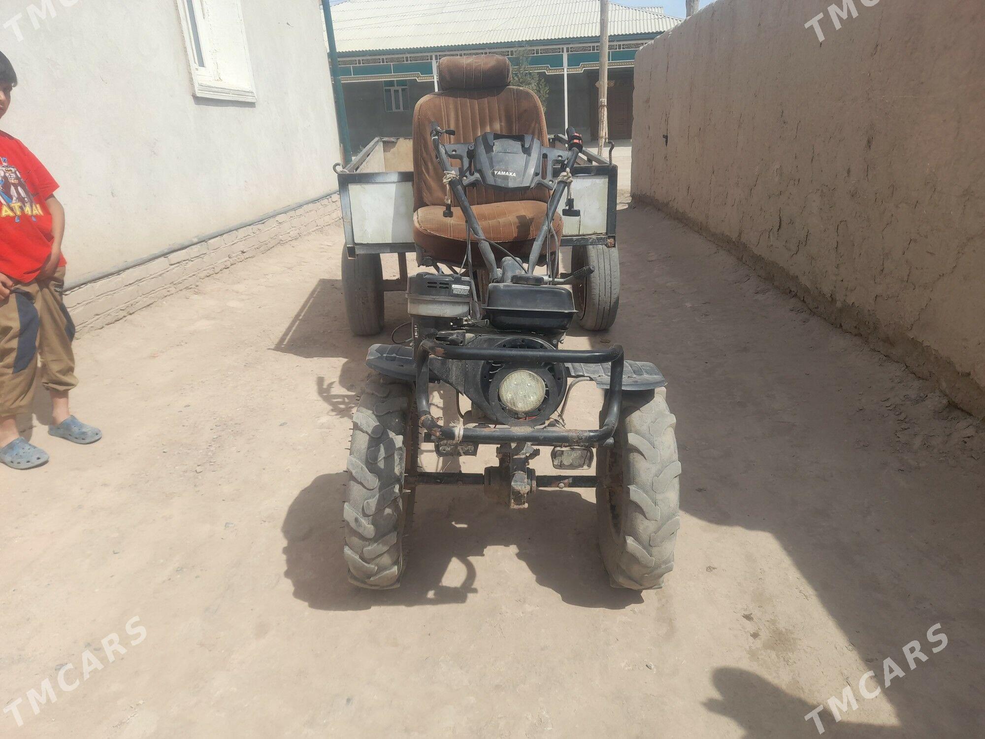 MTZ 80 2026 - 12 000 TMT - Gurbansoltan Eje - img 1