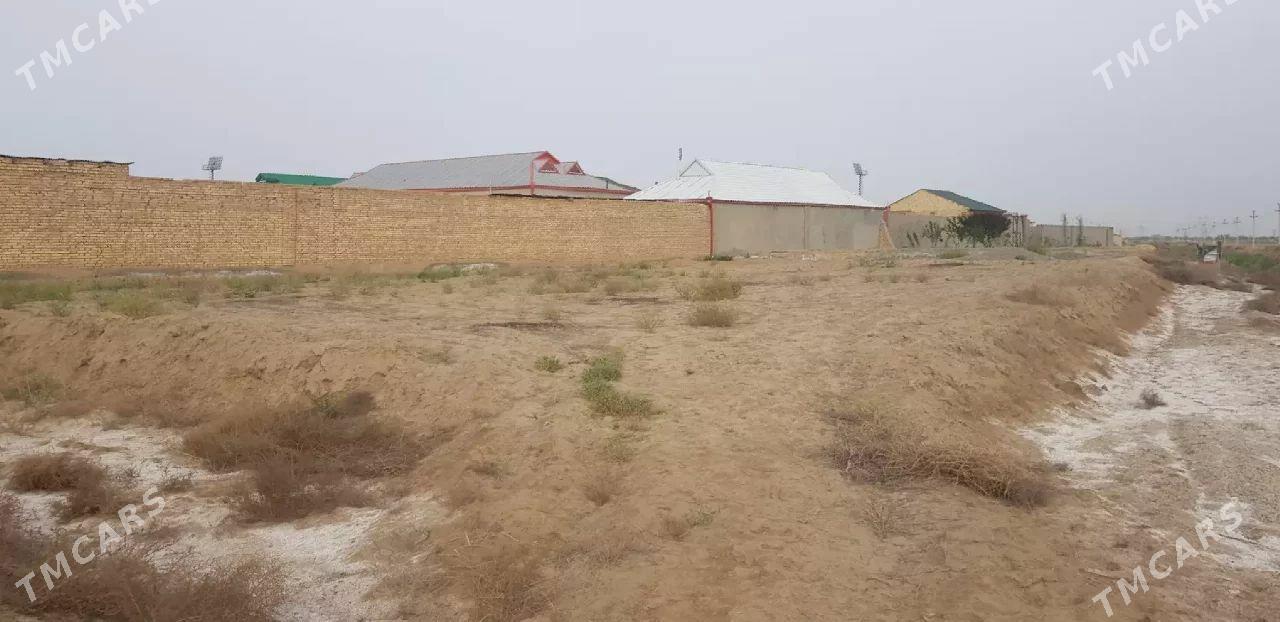 Mellek - Байрамали - img 1