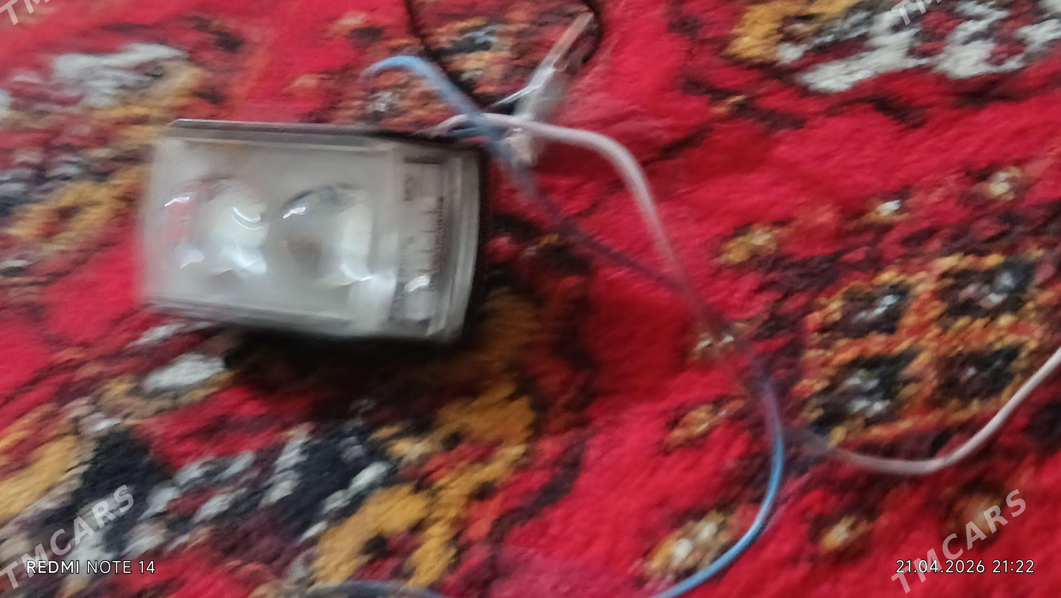 lupa - Daşoguz - img 1