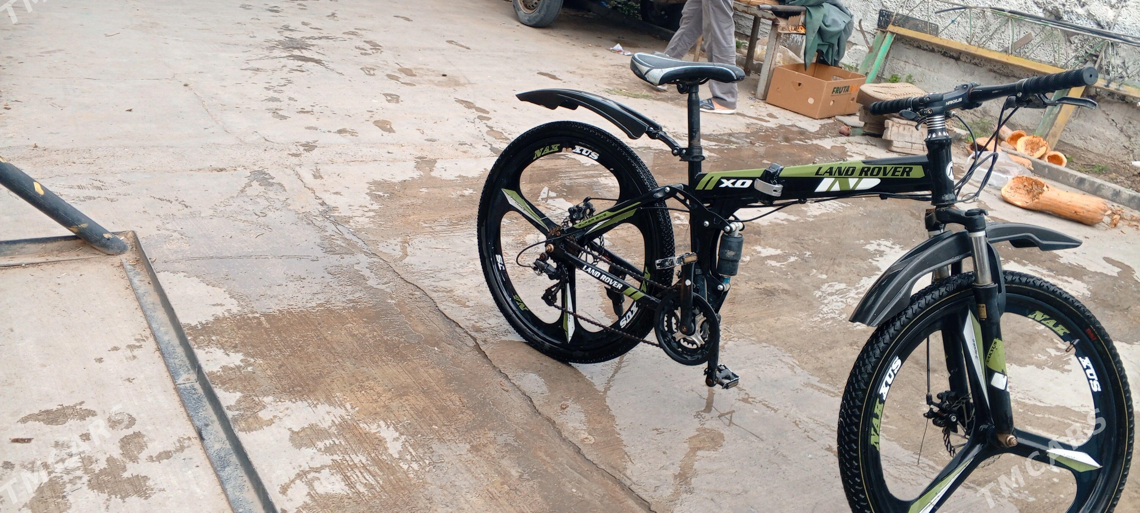 tigir - Büzmeýin - img 1