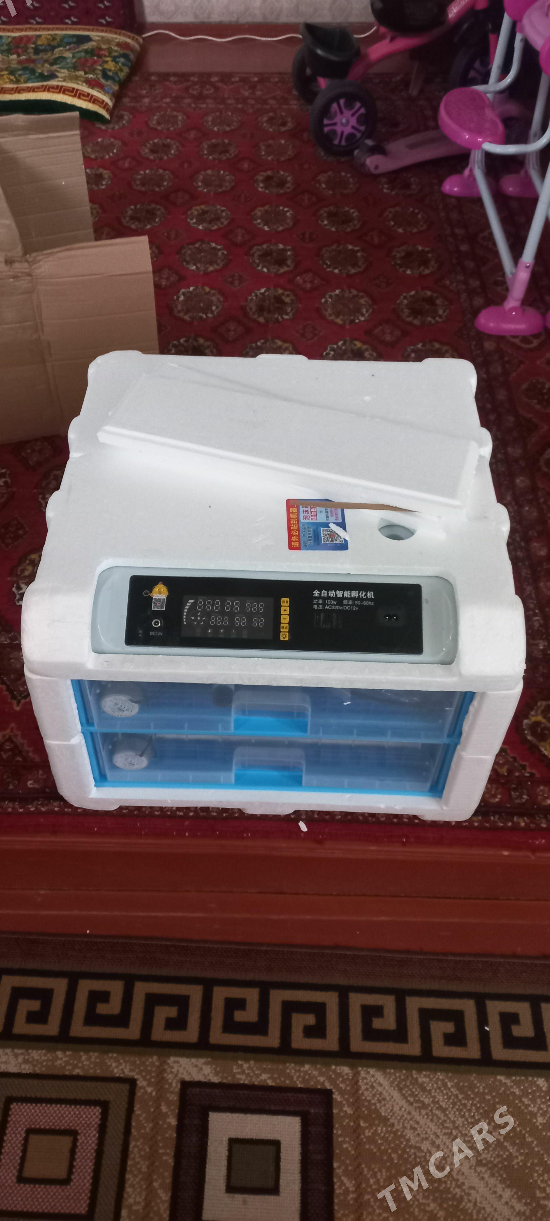 inkubator - Daşoguz - img 1